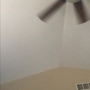 Meet your Posher, Brady